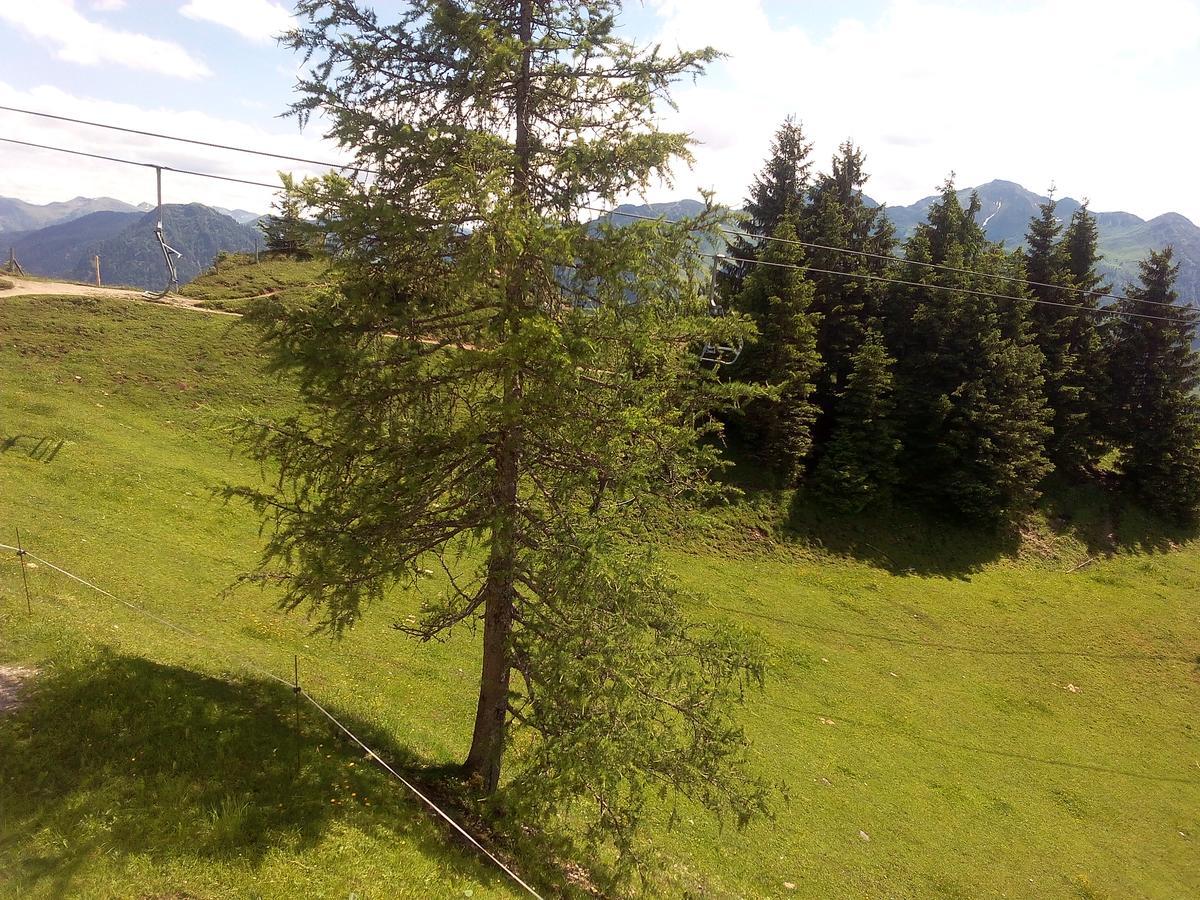 Gasthof-Pension Frohnwies Weissbach bei Lofer Exterior foto